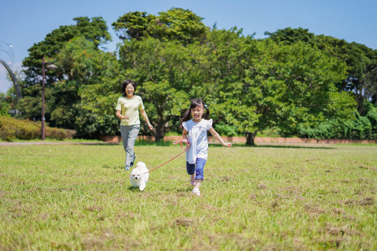犬 走る Images – Browse 8,260 Stock Photos, Vectors, and Video | Adobe Stock