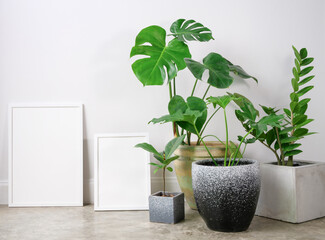 Mock up two sizes poster wooden frame  and Monstera,Philodendron and Rubber plant botanical tropical house plant in beautiful concrete pot  in modern living room stylish with loft cement  wall