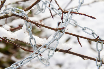 Metal chain hanging on a bush branch in winter