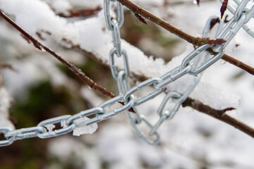 Metal chain hanging on a bush branch in winter