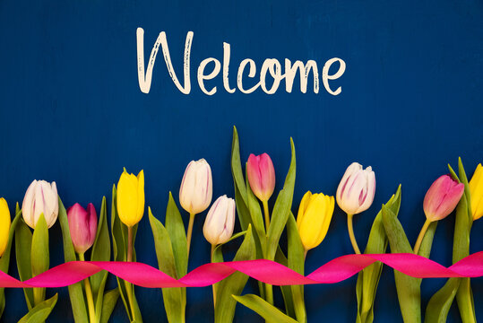 Top 73+ imagem welcome spring background - Thcshoanghoatham-badinh.edu.vn