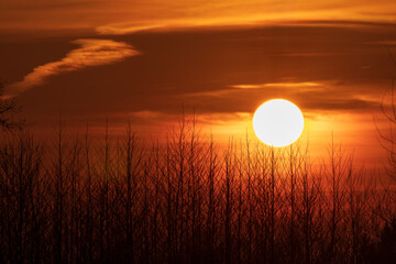 Fototapety na wymiar - Fototapeta24.pl