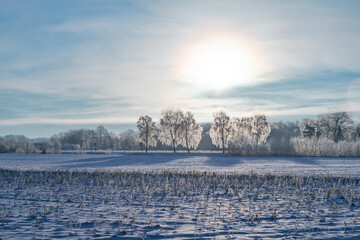 Winter snowy landscape