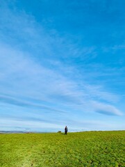 parent and child on the meadow