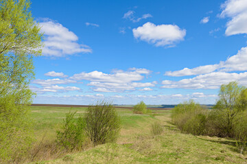 Spring landscape with fields, ravines and blue sky with clouds
