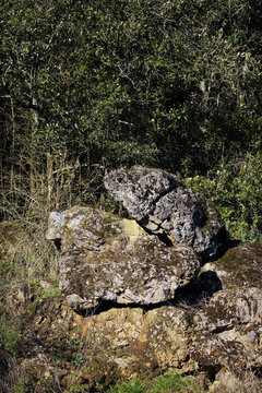 accouplement de rochers crapauds