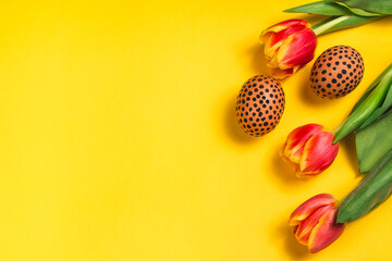 Easter flat lay with painted eggs and red tulip flowers on the yellow surface. Painted eggs with black dots. Creative horizontal layout with copy space. Mockup for invitation, greeting cards.