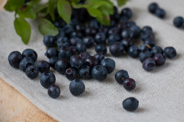 sweet wild blueberries picked from the forest, laid out on a linen napkin