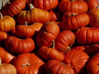 Orange Kürbis auf einem Haufen