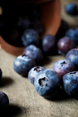 Blueberries close up