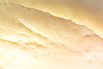Natural wooden texture of bone avocado. Beige eco background. Close up.