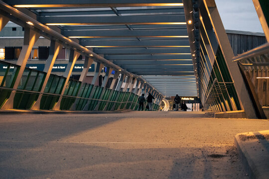 bridge in the evening