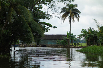 Backwaters network of brackish lagoons in Kerala