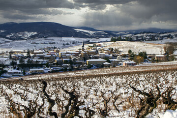 vignoble beaujolais