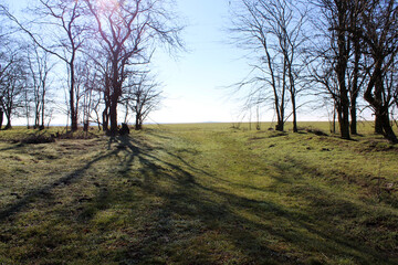 spring morning outside the city
