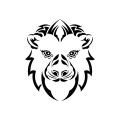 Beautiful face of the lion vector isolated on white. King of the forest. Zodiac sign leo.