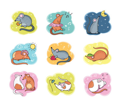 A set of painted funny mice rats of different colors and activities