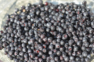 prune fruit food