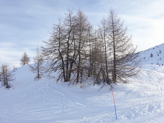 Winter mountain scene in Sauze D'oulx