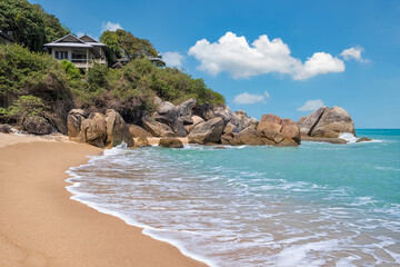 beach with palm trees in Thailand