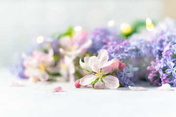 Fototapeta na wymiar Beautiful pink and lilac flowers on blurred light background with lights. Spring floral background with space for text.