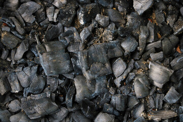The dark, cooled, burnt coals of a tree. Background.