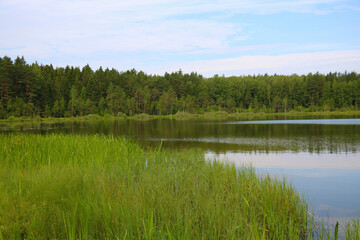 Fototapeta na wymiar View of a small lake on a spring day.
