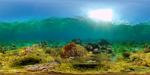 Coral reef and tropical fishes. The underwater world of the Philippines. Underwater colorful tropical coral reef seascape. 360 panorama VR