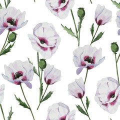 Lilac poppies seamless watercolor pattern