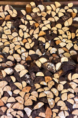 close up of tree trunks used for firewood