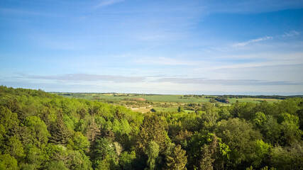 Fototapeta na wymiar landscape view of beautiful forest with blue sky