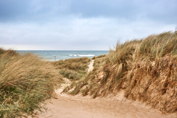 Fototapeta na wymiar sand dunes on the beach with blue sky