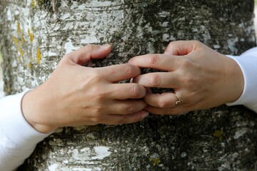 the woman's hands encircle the tree trunk. hands with fingers together. Human hands against a wooden bark background 