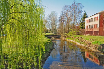 Obraz premium Primavera a Basiglio, Parco agricolo Sud Milano