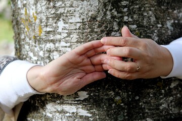 the woman's hands encircle the tree trunk. hands with fingers together. Human hands against a wooden bark background 