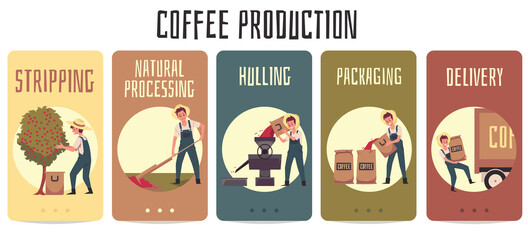 Process stages coffee production on agriculture farm a set vector illustrations.