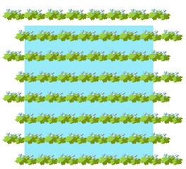 オオイヌノフグリ