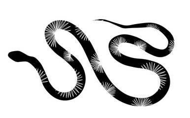 Tropical sea snake isolated on white background. Snake skin. Reptile. Vector illustration