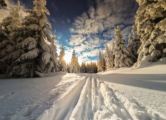 Einsame Spur im Winter  Winterlandschaft am Rennsteig in Thüringen Thüringer Wald