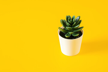 Artificial green office succulent with leaves in a pot on yellow background, copy space