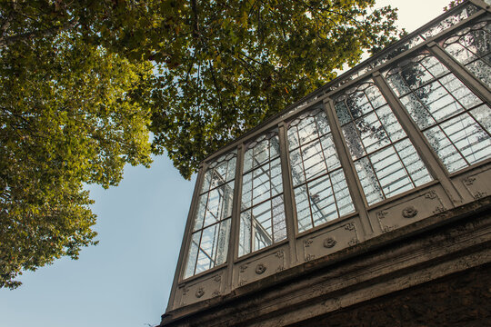 Low Angle View Of Tree Near Building With High Windows On Street In Istanbul, Turkey