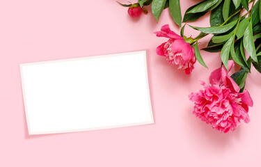 Bouquet of beautiful peonies with paper frame on pink delicate background.