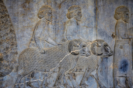 Beautiful bas relief of people and rams at the ruins of Persepolis, the ancient capital of Iran