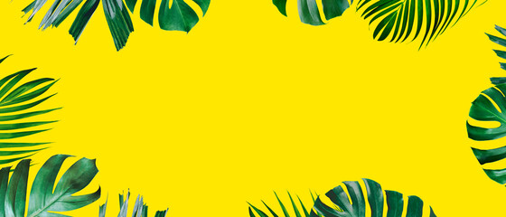 Fototapeta na wymiar Tropical leaves on yellow background with copy space