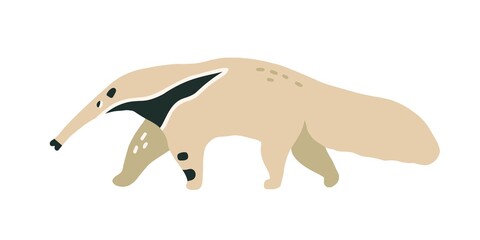 Giant anteater or ant-bear with long nose. Walking Brazilian ant-eater with dense fluffy fur and elongated snout. Colored flat vector illustration of cute wild animal isolated on white background