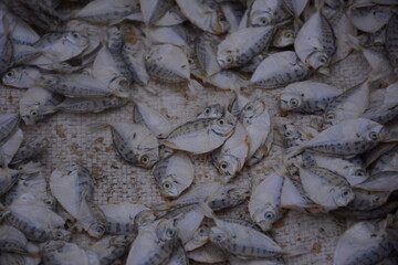piles of salted fish that are dried and ready to be sold in traditional markets.
