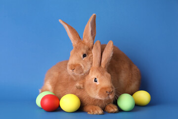 Cute bunnies and Easter eggs on blue background