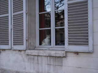 Architecture in Versailles city, the 6th march 2021.