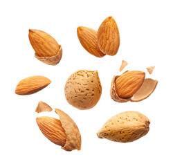 Almonds nuts collection isolated on white background