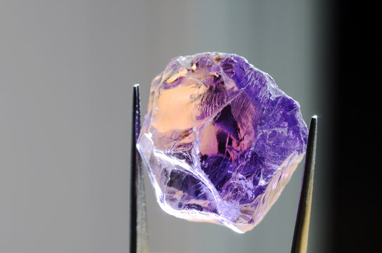 Natural mined unheated Bolivian bicolor yellow purple ametrine raw rough crystal gem in tweezers closeup details inclusions 
look through massive. Gray gradien horizontal background.